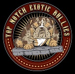 Exotic English Bulldog Puppies Logo